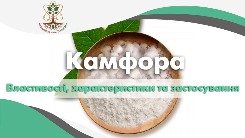 Камфора. Применение, свойства и характеристики