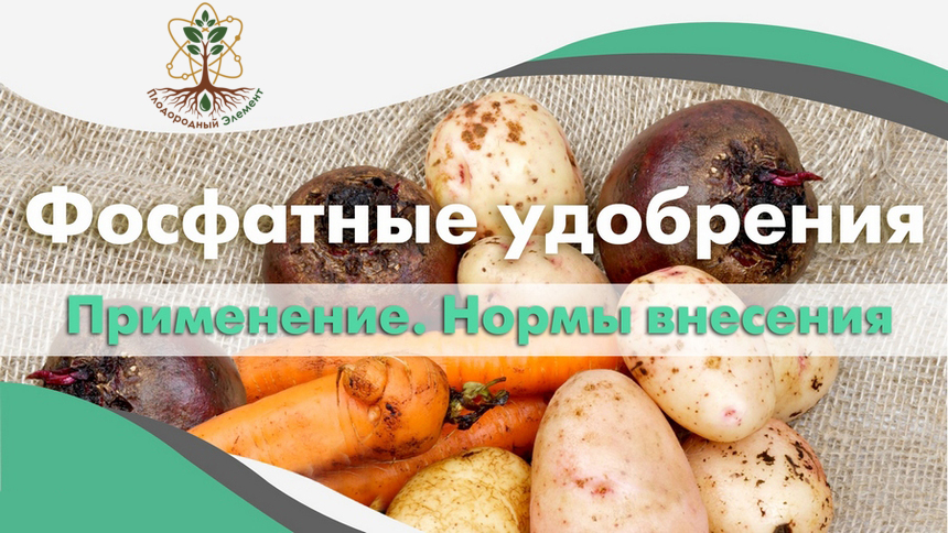 Фосфатные удобрения. Применение. Нормы внесения