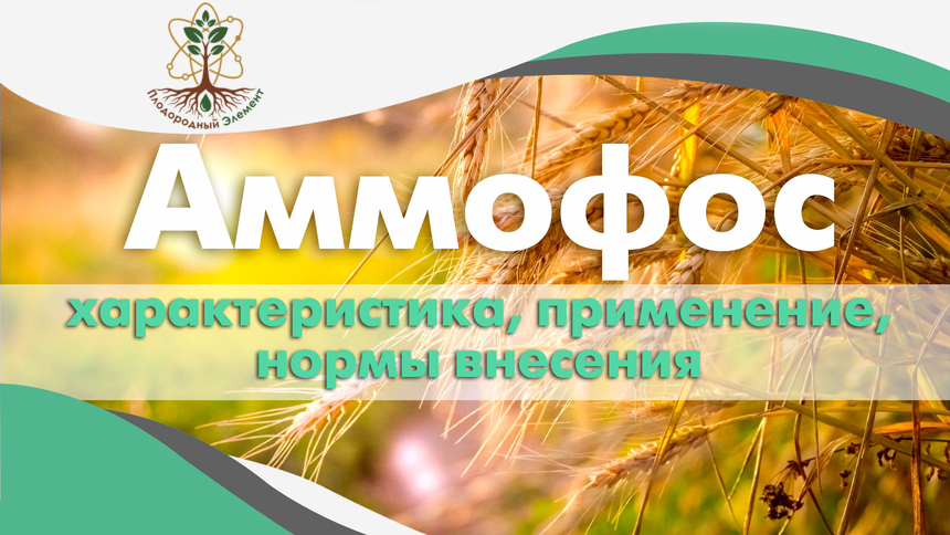 Аммофос характеристика, применение, нормы внесения