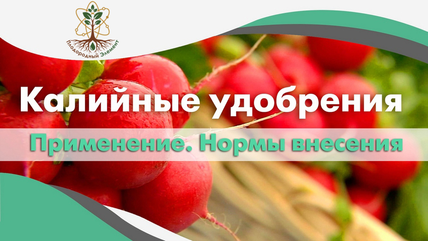 Калийные удобрения. Применение. Нормы внесения