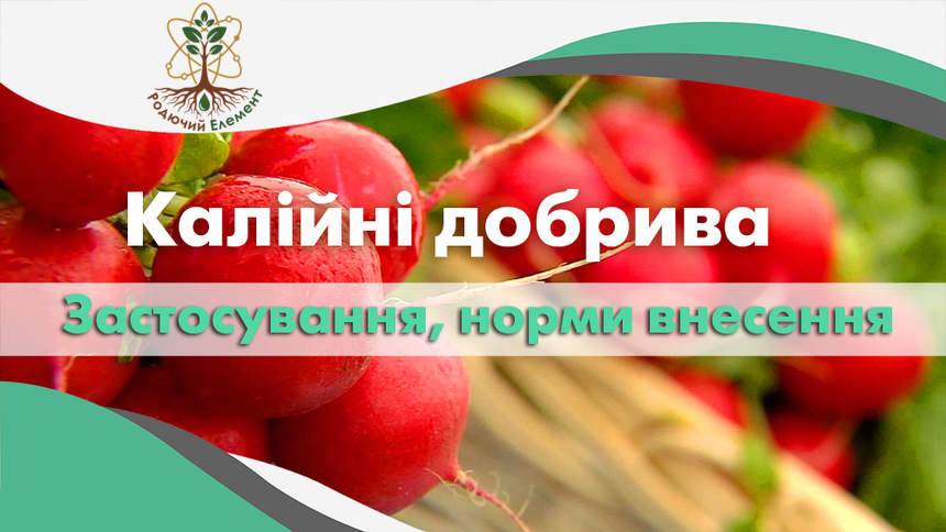 Калійні добрива. Застосування. Норми внесення