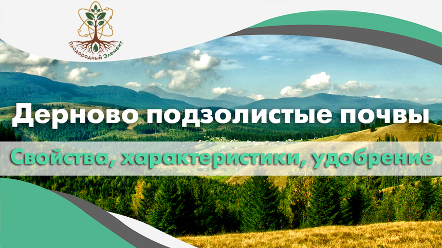 Дёрново-подзолистые почвы. Свойства, характеристики и удобрение