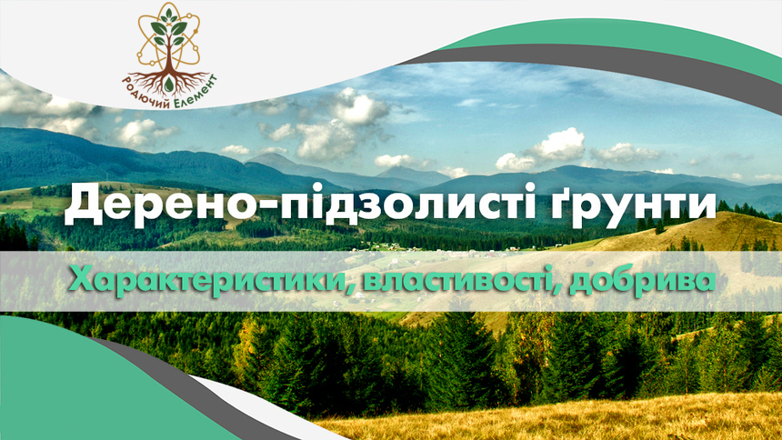 Дерено-підзолисті ґрунти. Властивості, характеристики та добриво