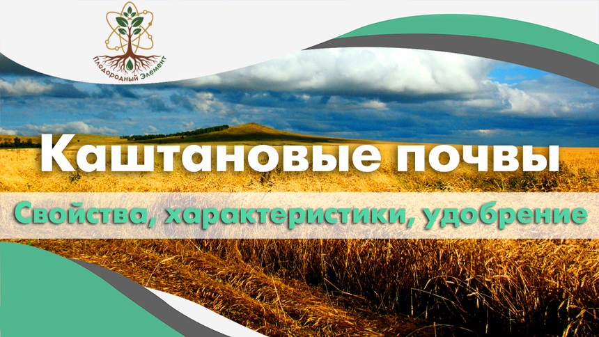 Каштановые почвы. Свойства, характеристики и удобрение