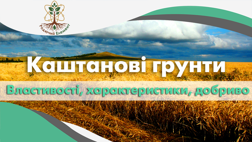 Каштанові грунти. Властивості, характеристики та добриво