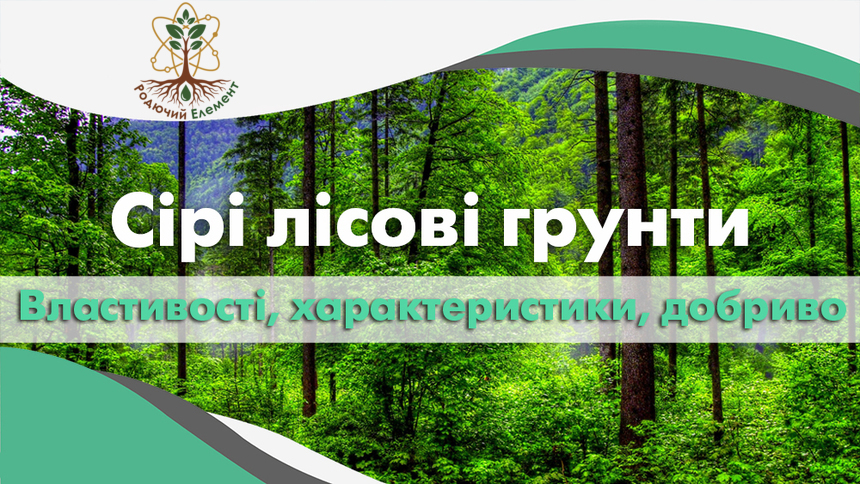 Сірі лісові грунти. Властивості, характеристики та добриво