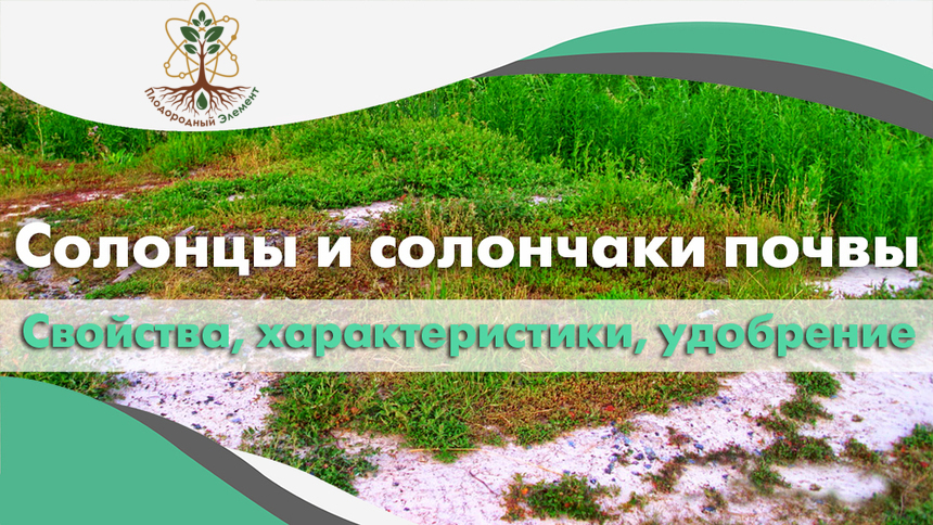 Солонцы и солончаки почвы. Свойства, характеристики и удобрение