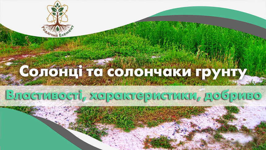 Солонці та солончаки грунту. Властивості, характеристики та добриво