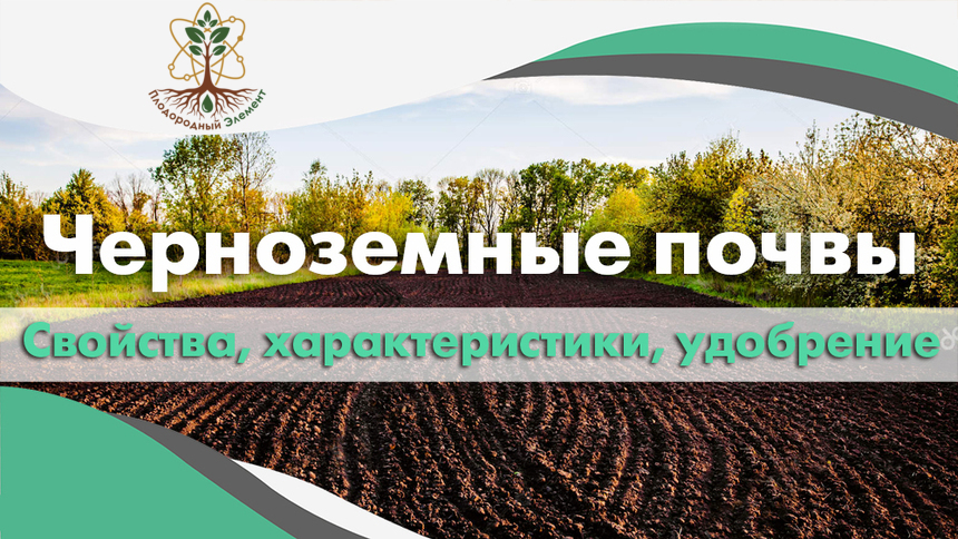 Черноземные почвы. Свойства, характеристики и удобрение
