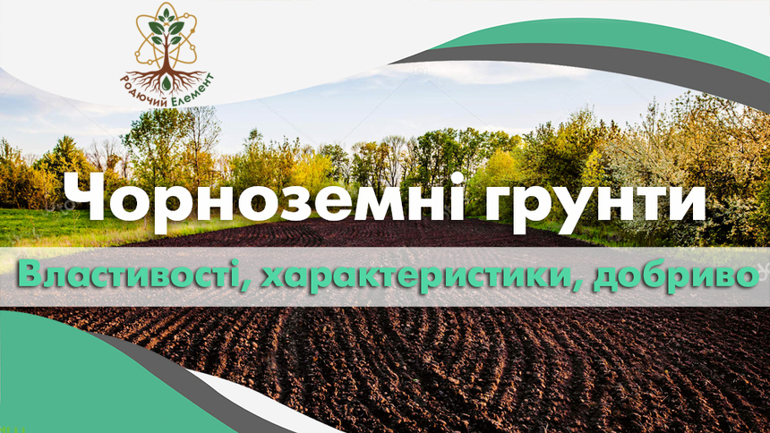 Чорноземні грунти. Властивості, характеристики та добриво