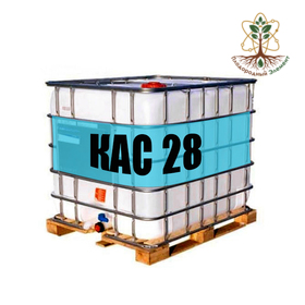 КАС 28
