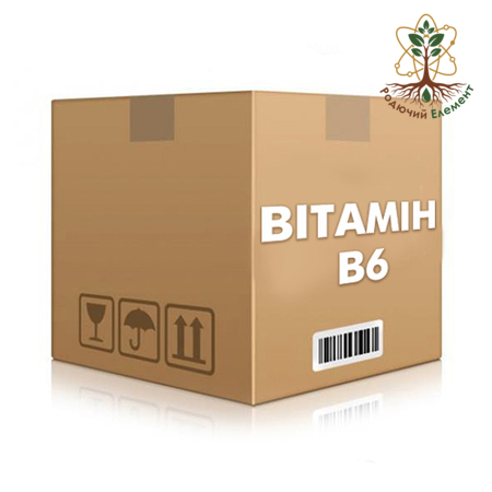 Вітамін В6