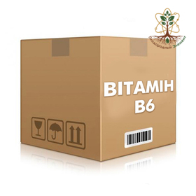 Витамин B6