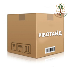 Pиботайд